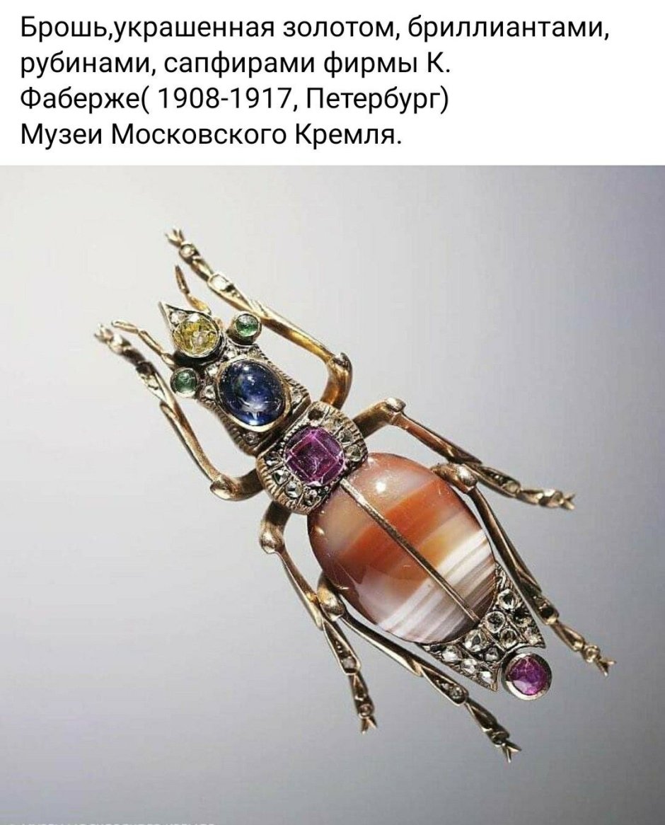 Золотые хрущи жуки