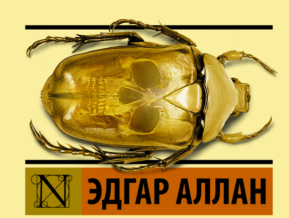 Жук на белом фоне