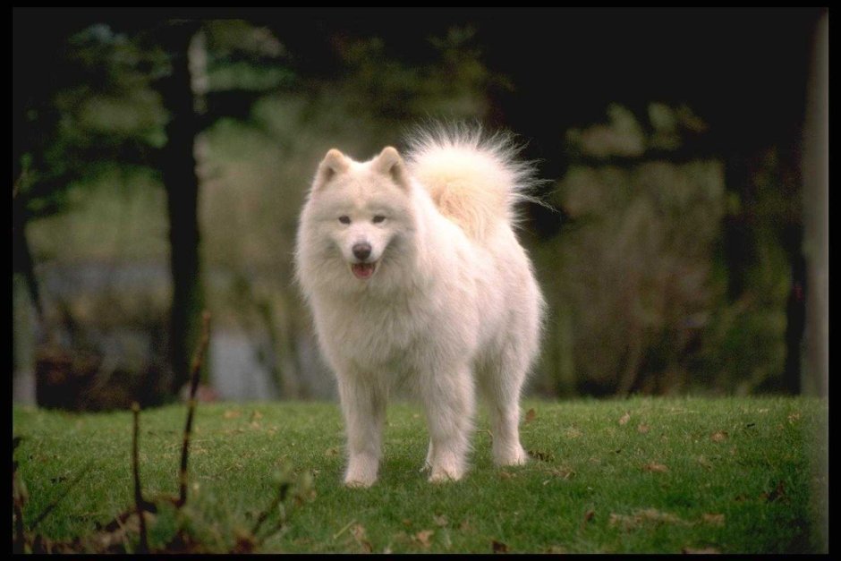 Марина Максимова Липецк