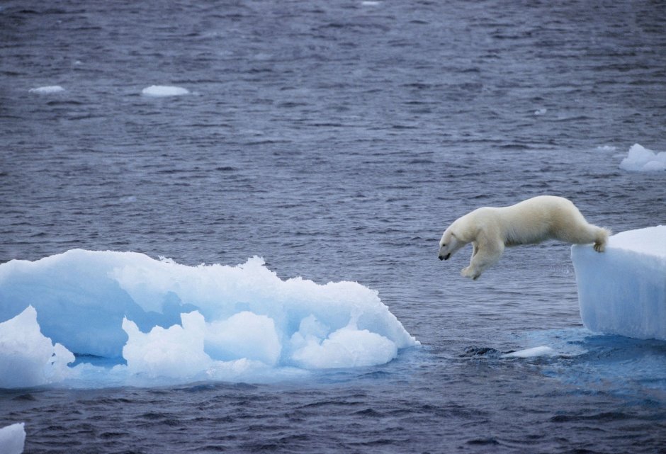 Polar Ice caps
