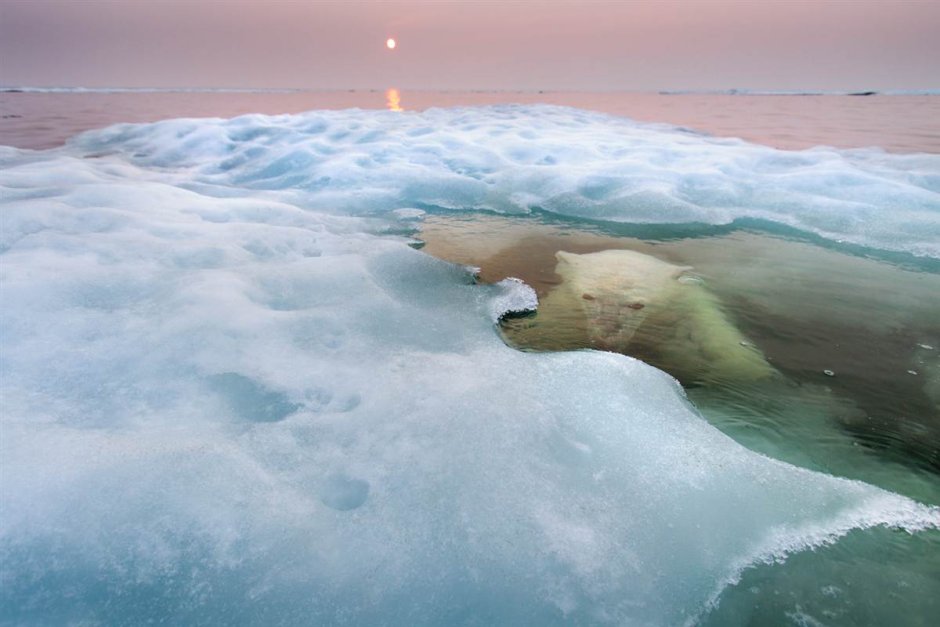 Замерзшее море