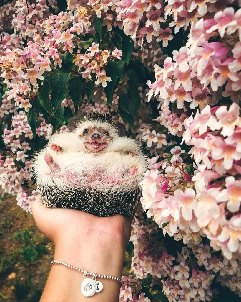 Мир принадлежит тому кто ему рад