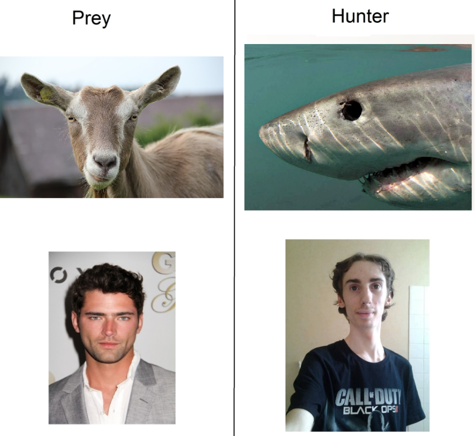 Тату хищники животные