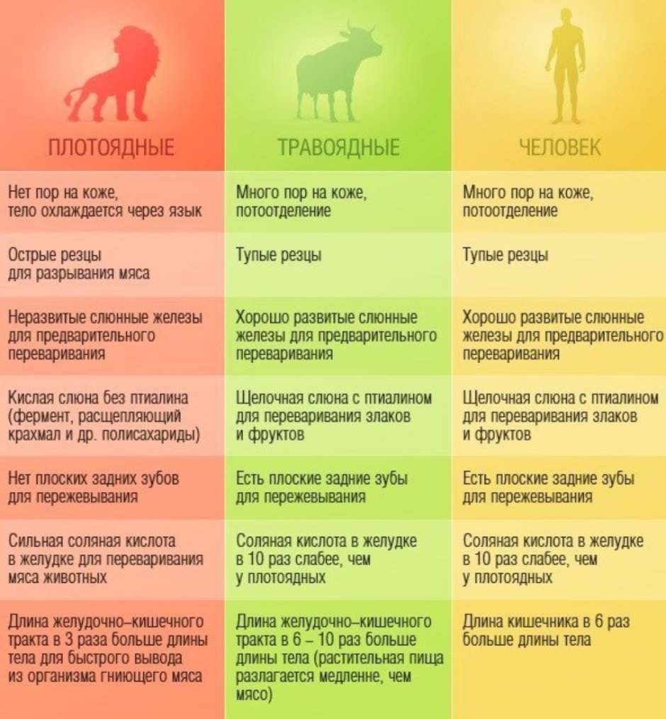 Крокодил хищник или травоядное