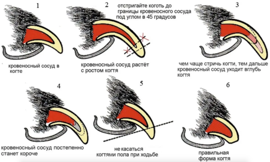 Перчатки Claw Weapon
