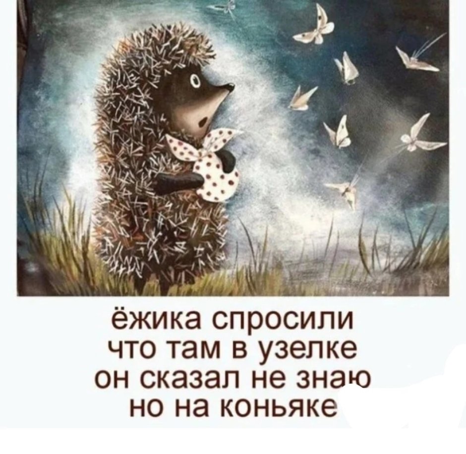 Спокойной ночи Ежик в тумане