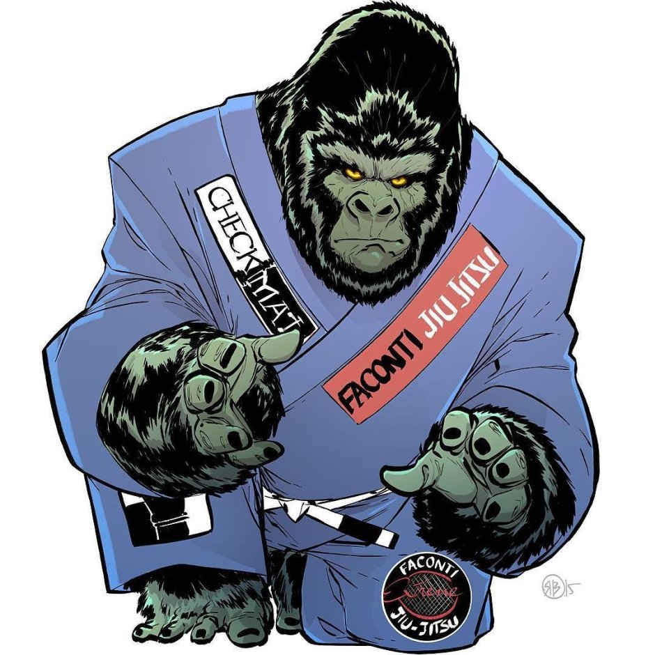 BJJ обезьяна