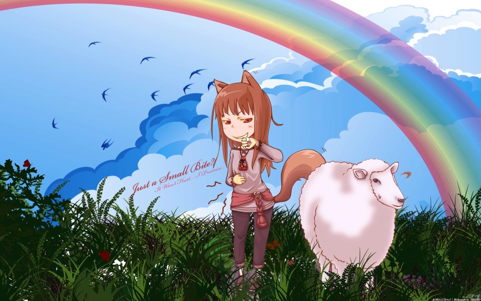 Spice and Wolf