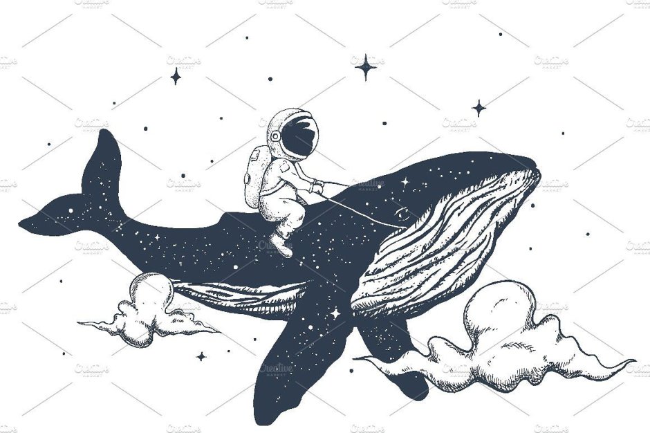 Кит и космонавт