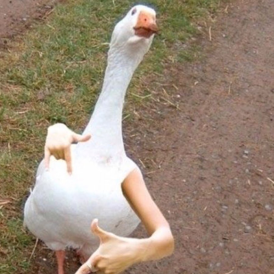 УГАРНЫЙ Гусь