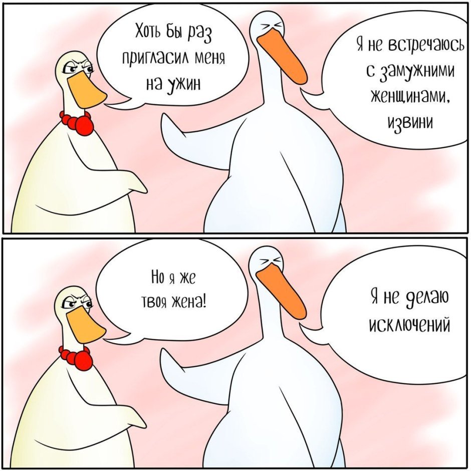 Гусь прикол