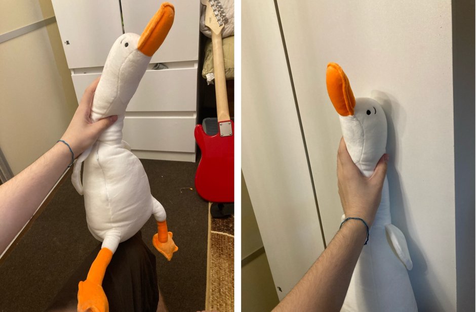 Гусь с руками