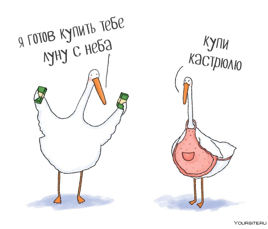 Шутки про гуся