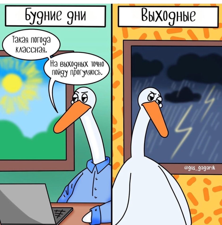 Гусь Гагарик смешные картинки