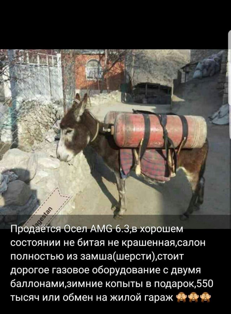 Эшак шофёр