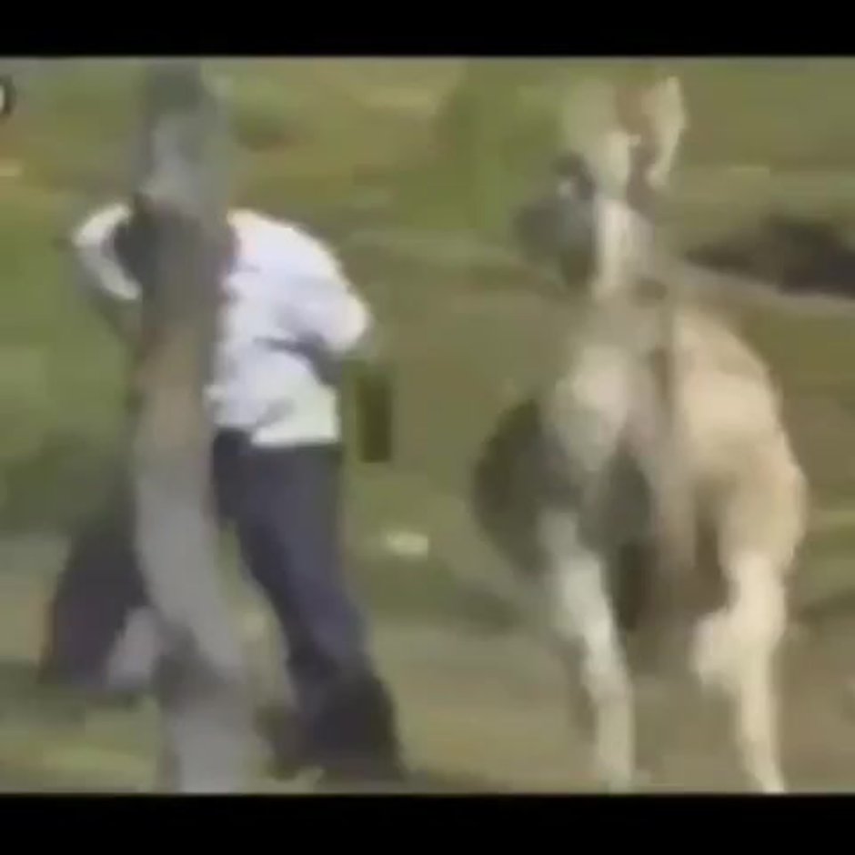 Общественное мнение Мем