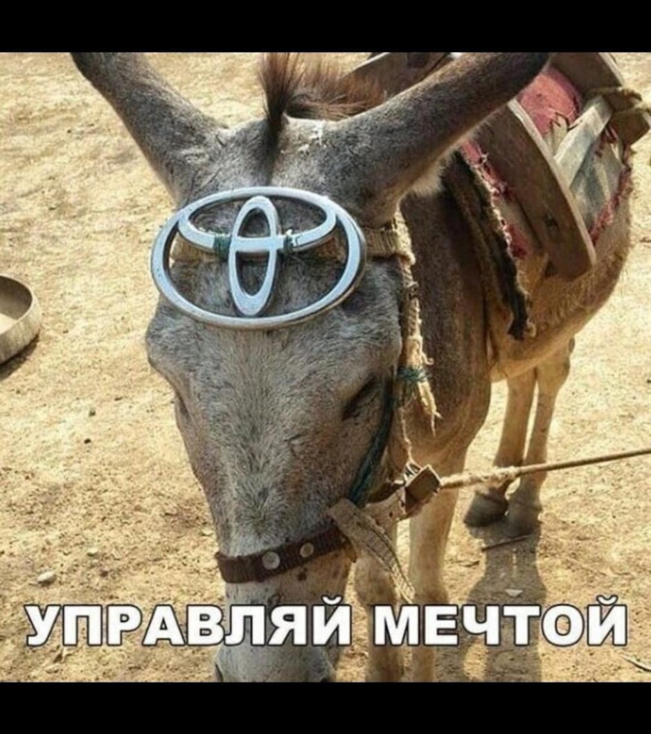 Чурка селфи