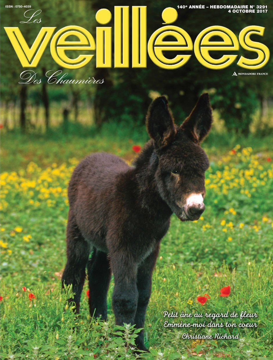 Маленький ишак