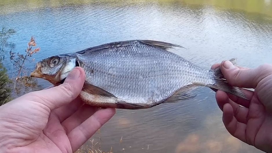 Разливное пиво