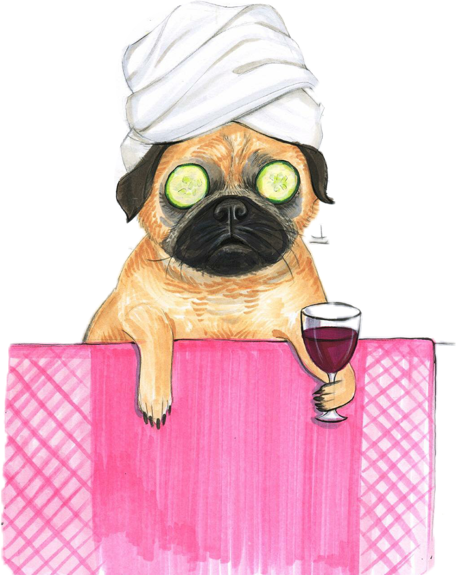 Метис МОПСА И чихуахуа