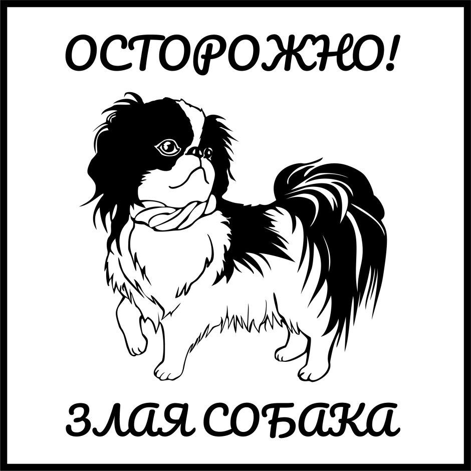 Мопс кавалер Чарльз