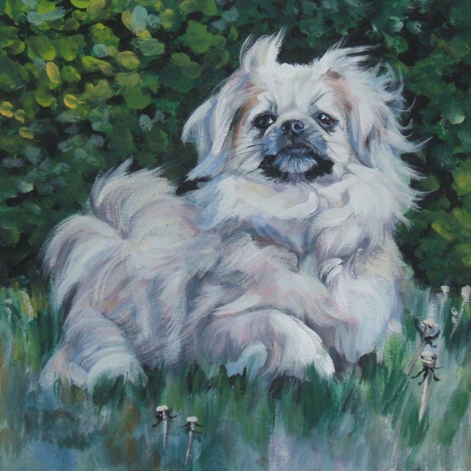 Метис МОПСА И чихуахуа