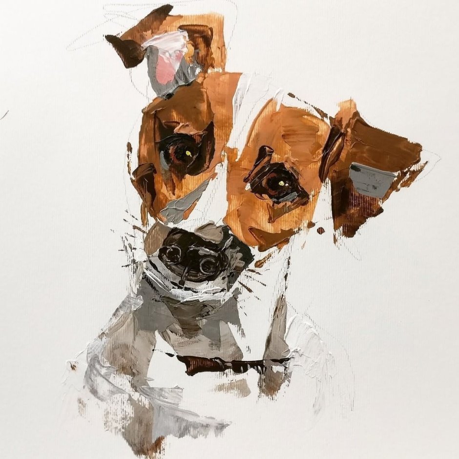 Порода собак японский Хин