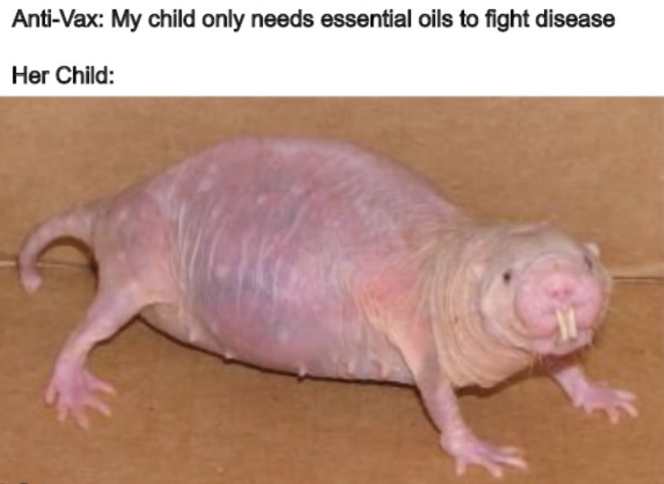 Грязный Ленивец