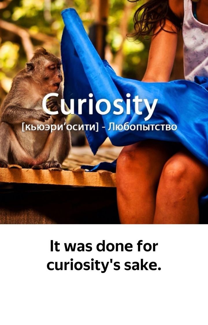 Прикольные демотиваторы для поднятия настроения