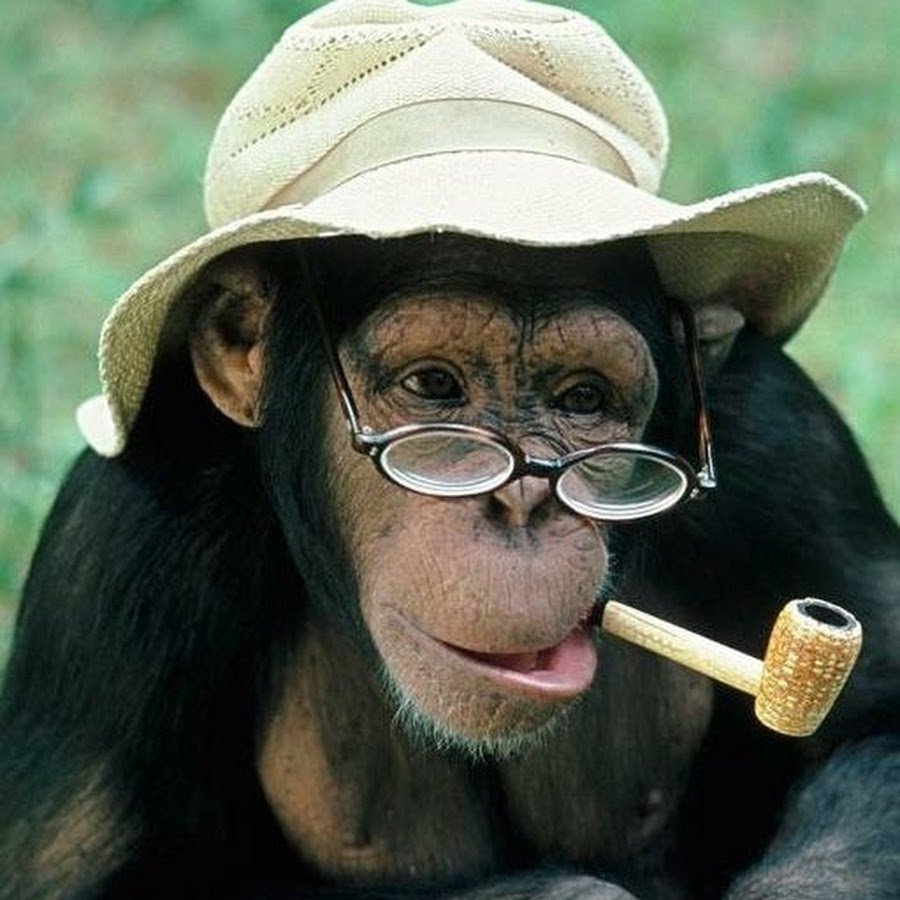 Обезьянка с очками