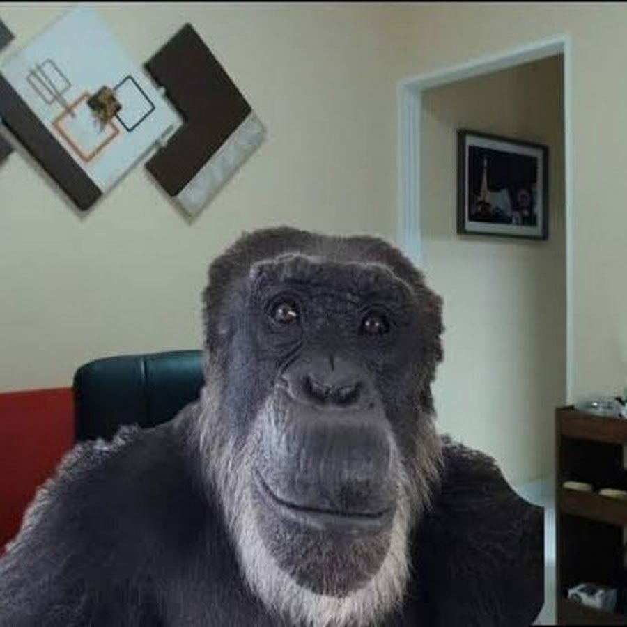 Чупапи муняня