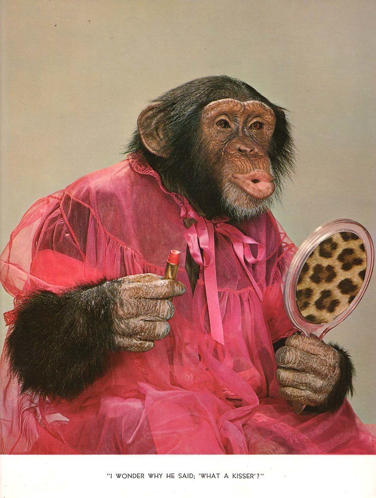 Обезьяна в платье