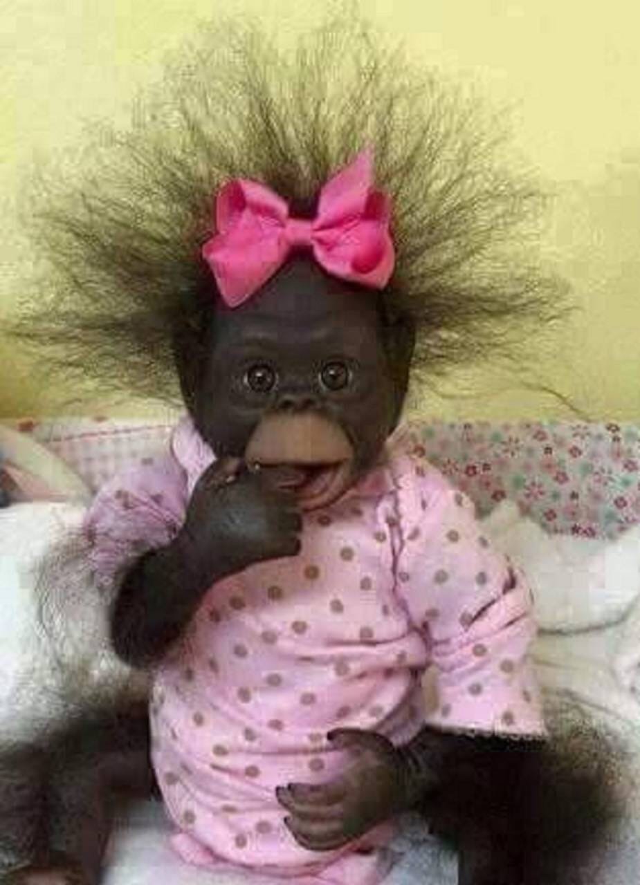 Обезьяна с бантиком