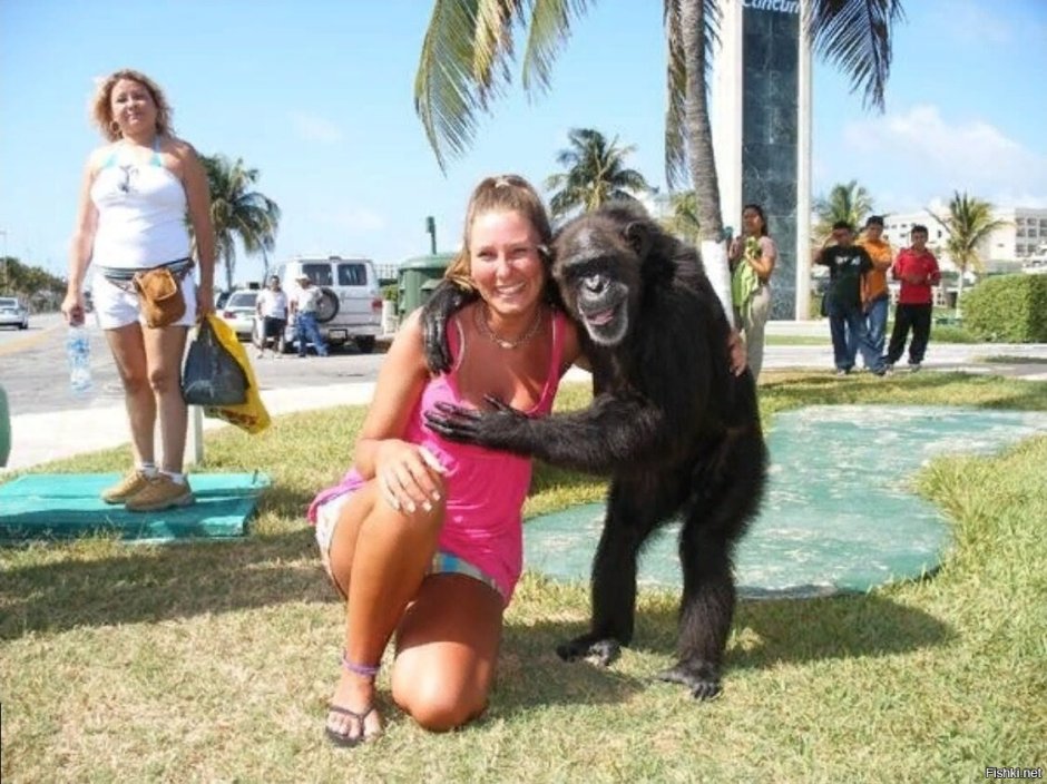 Девушка мартышка