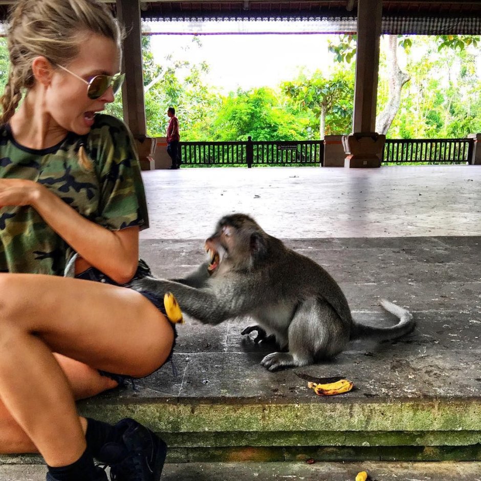 Забавные ситуации с животными