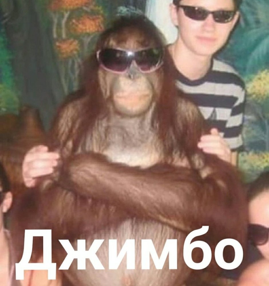 Frank обезьяна Мем