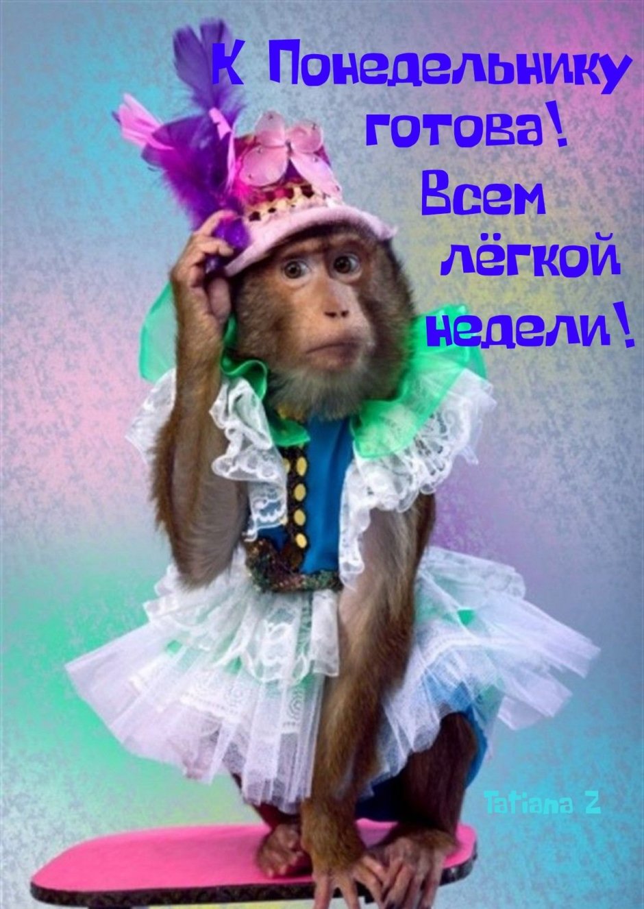 Обезьянка в одежде