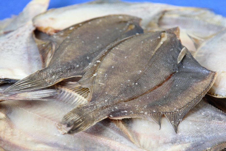 Морской Ерш скорпена