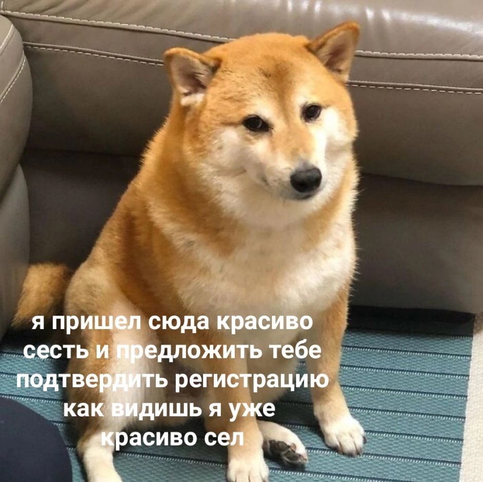 Сиба ину симс