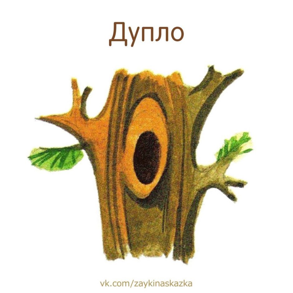 Птенец дятла