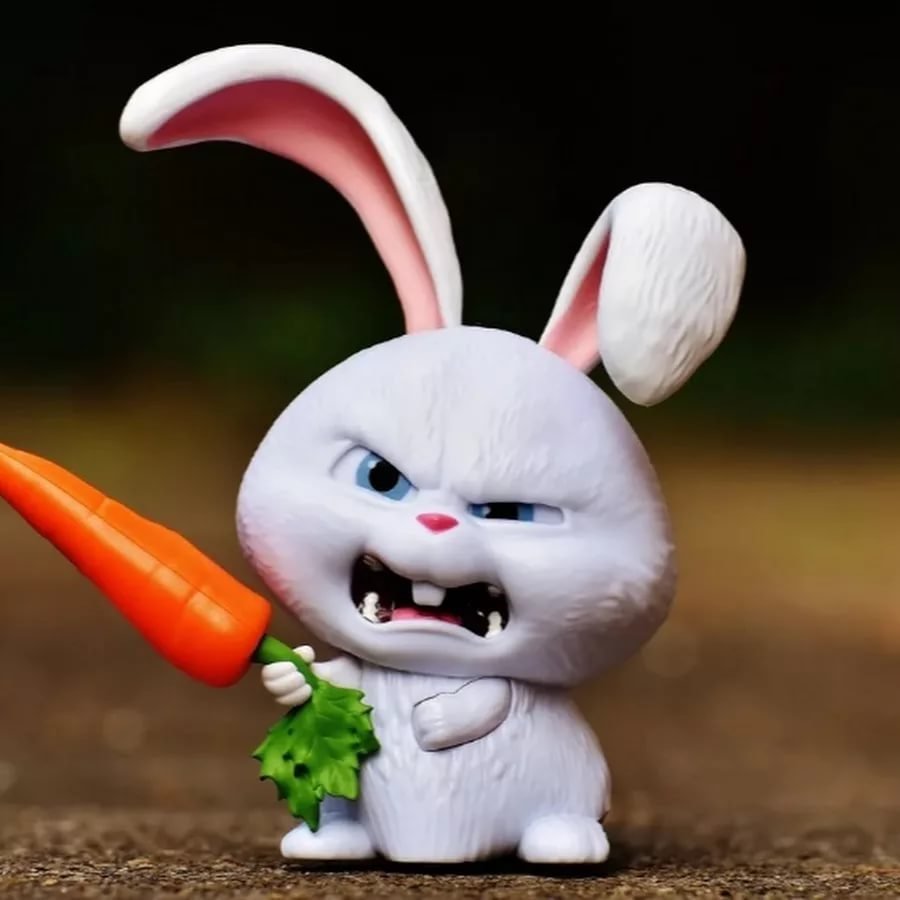 Толстый кролик