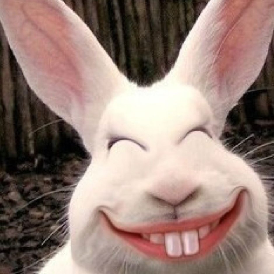 Жирная Джуди Хопс