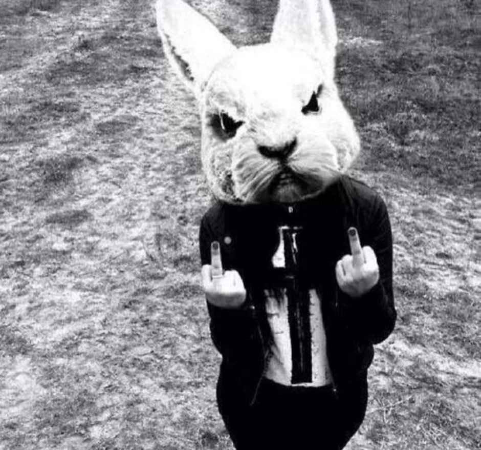 Золотая чаша Золотая кролик