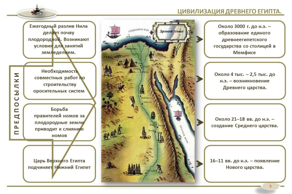 Барракуда рыба в Красном море