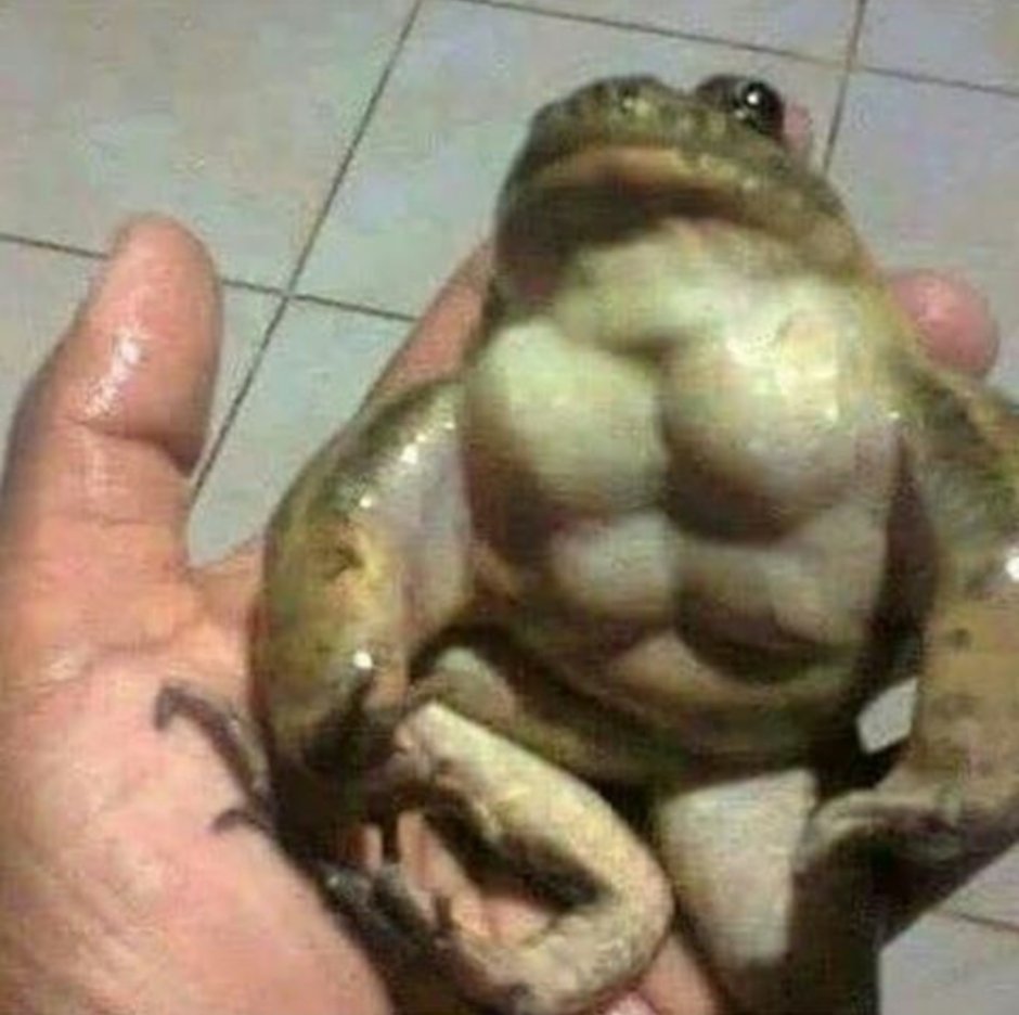 Жаба в шляпе