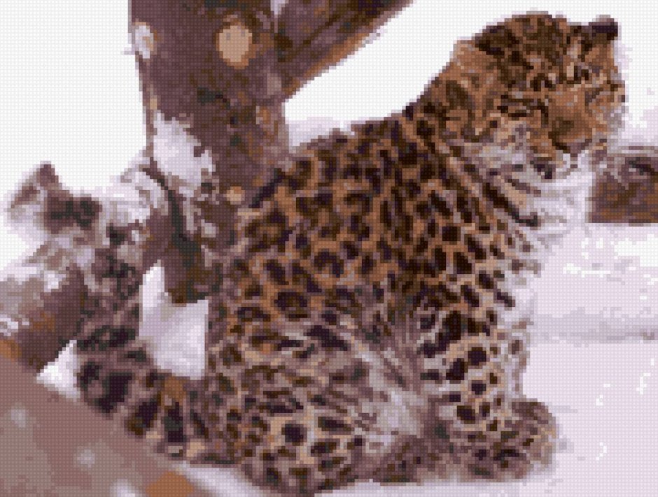 Дальневосточный (Амурский) леопард (Panthera pardus orientalis)