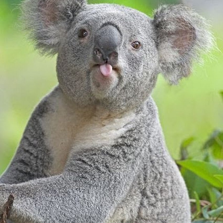 Прикольные фото