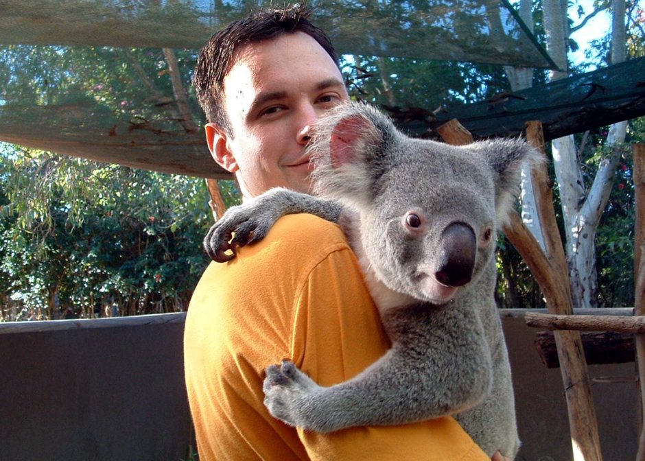 Коала девочка