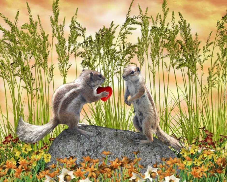 Бурундук и Ёжик 1977