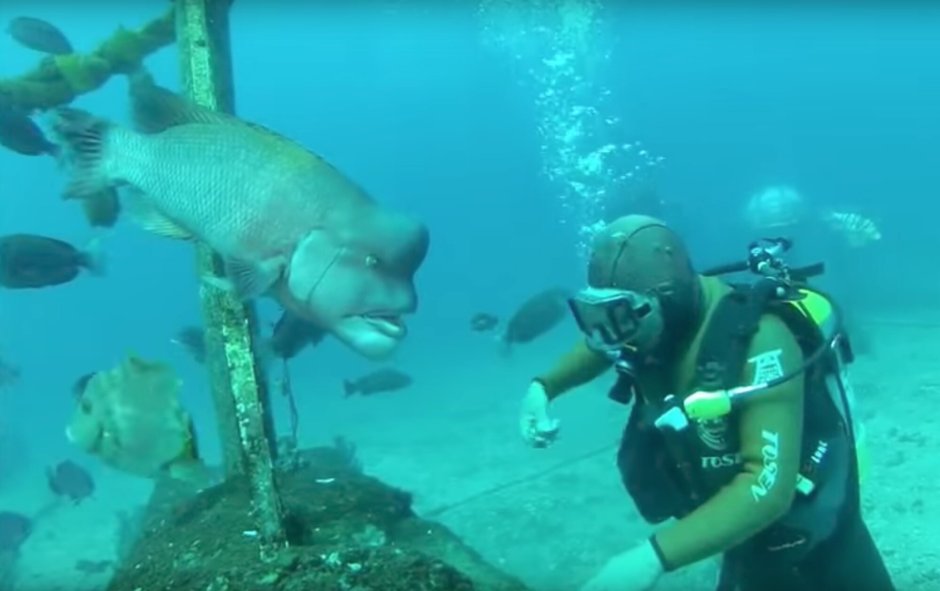 Японский дайвер и рыба